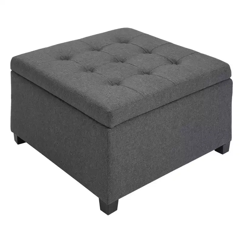 Banc ottoman de rangement avec couvercle rabattable, capitonné pour salon, entrée et chambre à coucher