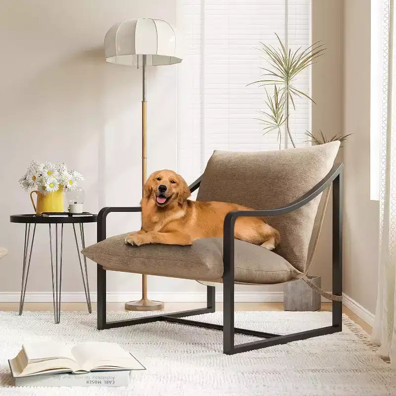 Fauteuil d'appoint moderne, chaise de lecture à cadre métallique avec accoudoirs, coussin en mousse souple, capacité de 127 kg, chaise longue rembourrée pour salon, chambre et boudoir